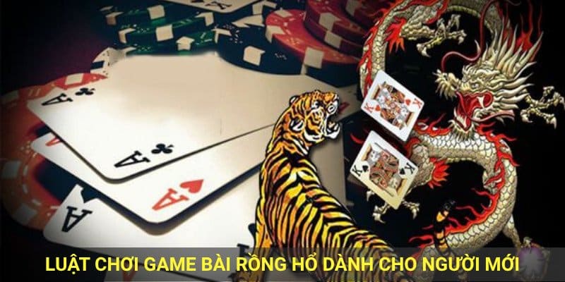 Luật chơi game bài rồng hổ cho người mới.